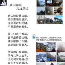 圖片15